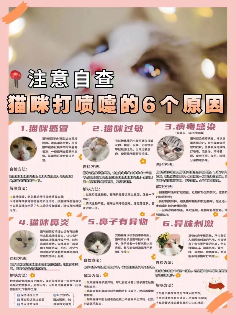 阿嚏——猫咪打喷嚏的原因及处理指南