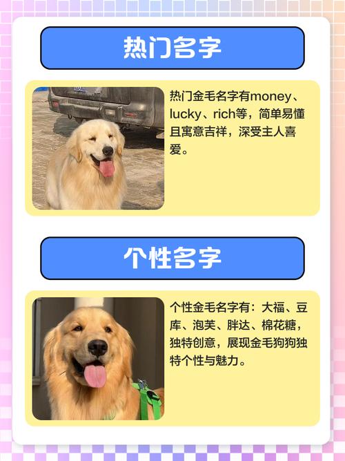 100个好听到爆的狗狗名字