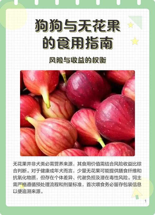 狗狗能不能吃无花果