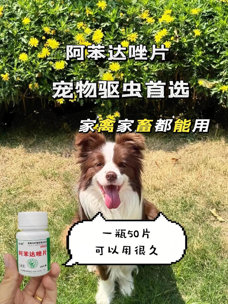 狗狗吃阿苯达唑片的用量是怎样的?