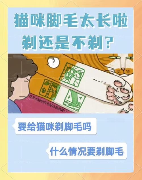 猫咪为什么要剃掌毛