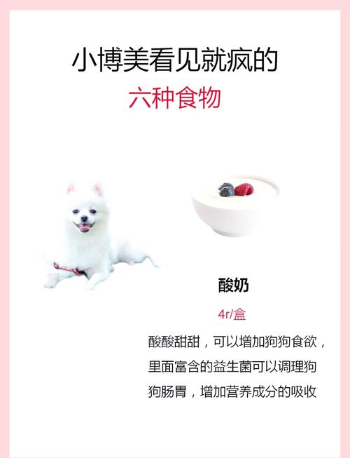 博美狗几个月可以吃干的狗粮?