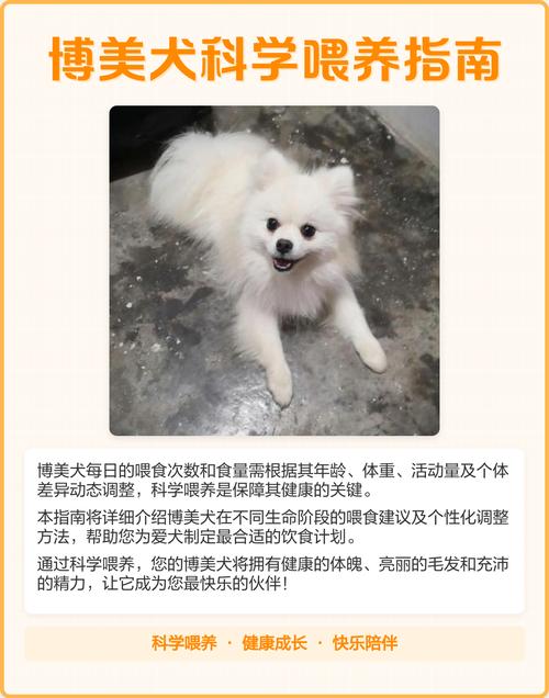 幼犬泰迪多大可以吃干狗粮了