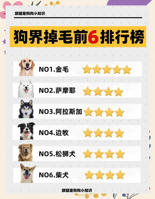 “爱掉毛”的10大狗狗!
