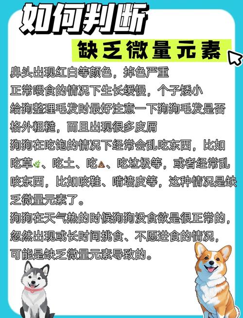狗狗掉毛严重怎么回事