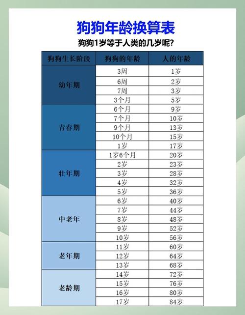 狗狗年龄换算表丨附赠狗狗长寿秘诀