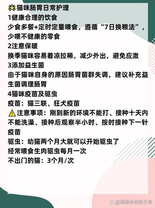 猫咪呕吐5种原因最后1种快去医院