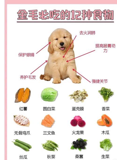 狗狗吃什么粗粮