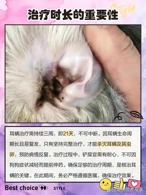 狗狗耳螨用碘伏很有效