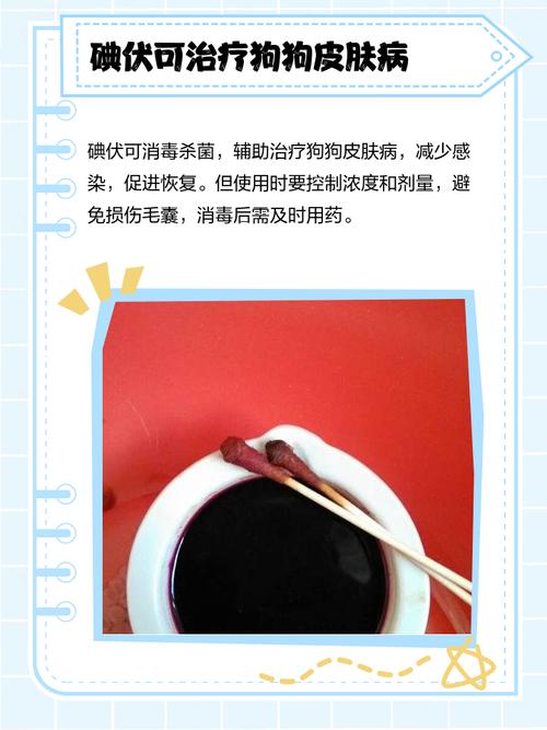 狗狗洗澡加碘伏正确方法