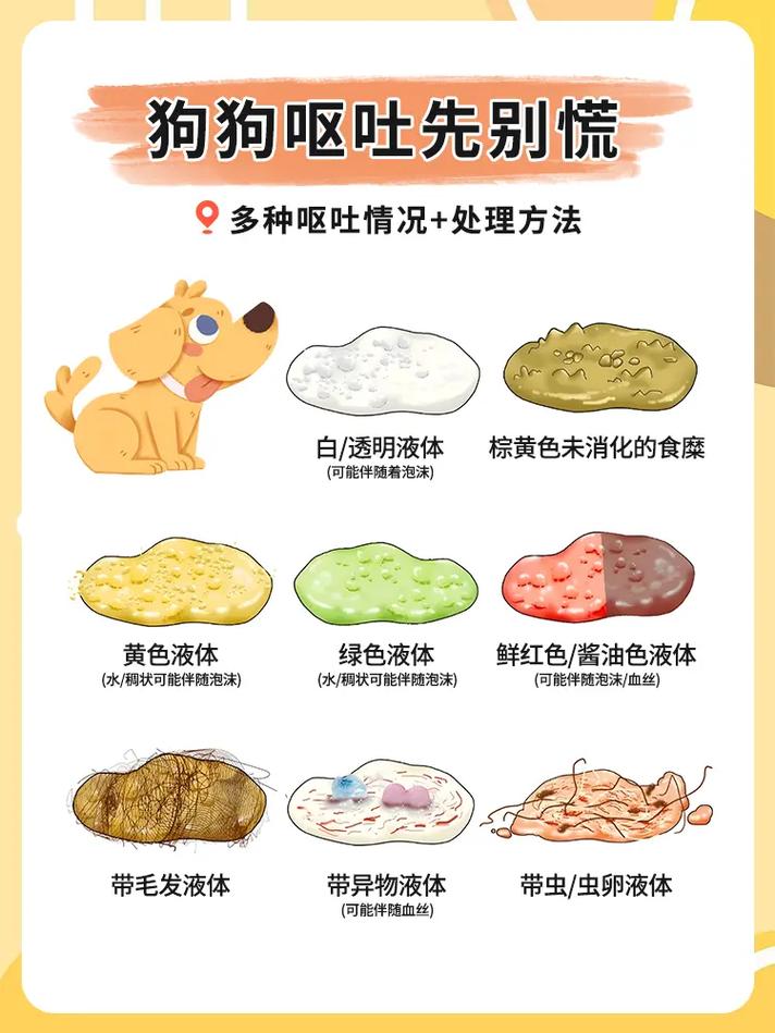 我家狗狗可能吃撑了,老吐,又拉稀该怎么办