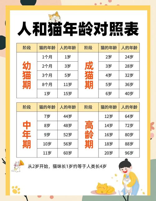 怎么看猫几个月