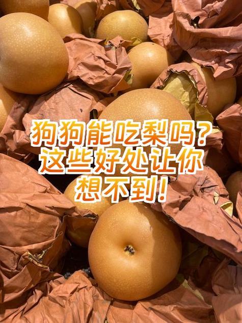 为什么不让狗狗吃苹果和梨