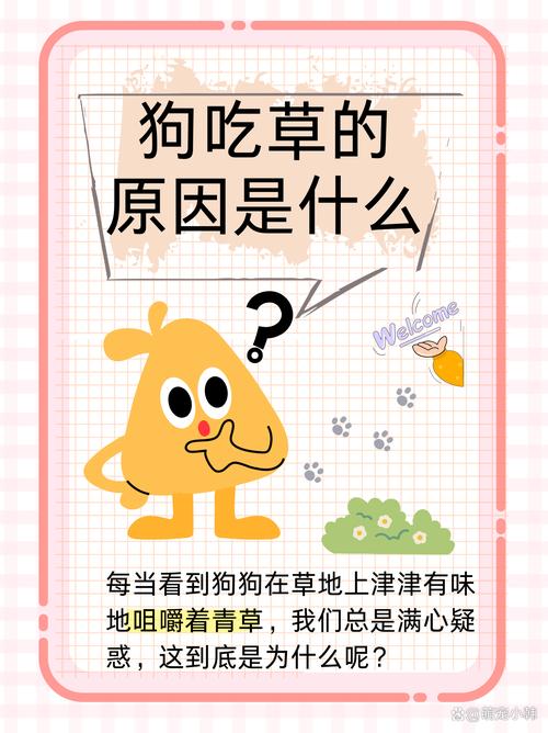 狗能不能吃薄荷叶
