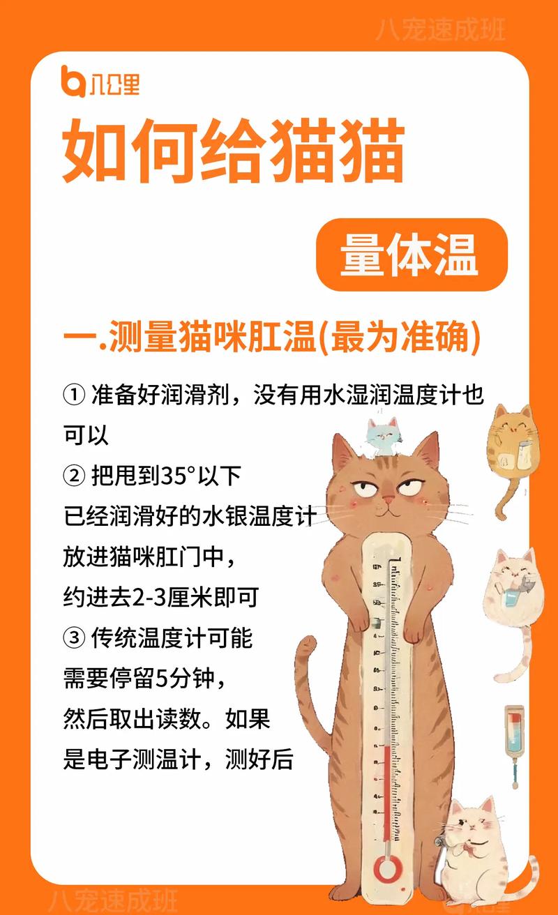 怎么给猫量体温,?给猫量体温的方法