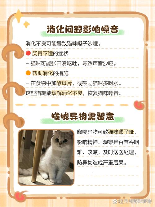 猫咪突然失声了,怎么办?