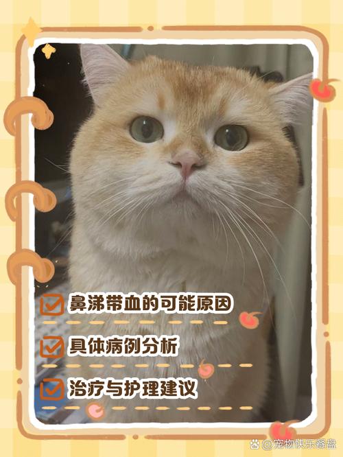 猫咪打喷嚏的鼻涕带血
