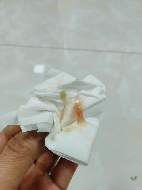 猫咪总是打喷嚏,鼻涕很多,还有血色