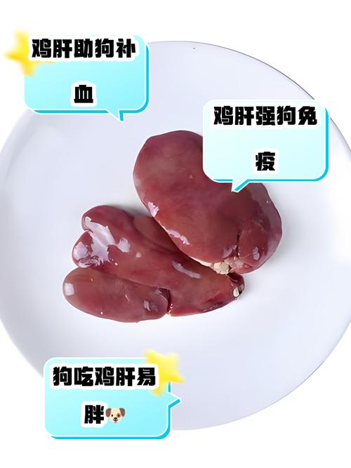 鸡心和鸡肝狗吃哪个更好