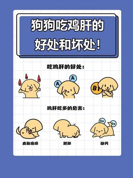 狗狗吃鸡肝的好处和坏处!!