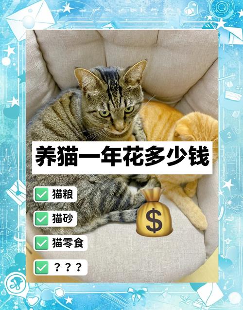 养猫暴露经济实力,养这几种,都是有钱人