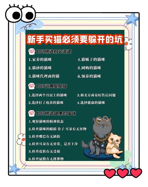 新手可千万不能养的猫|选猫避坑指南