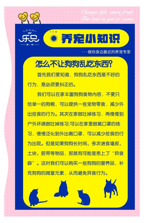 如何训练狗狗不乱吃东西?
