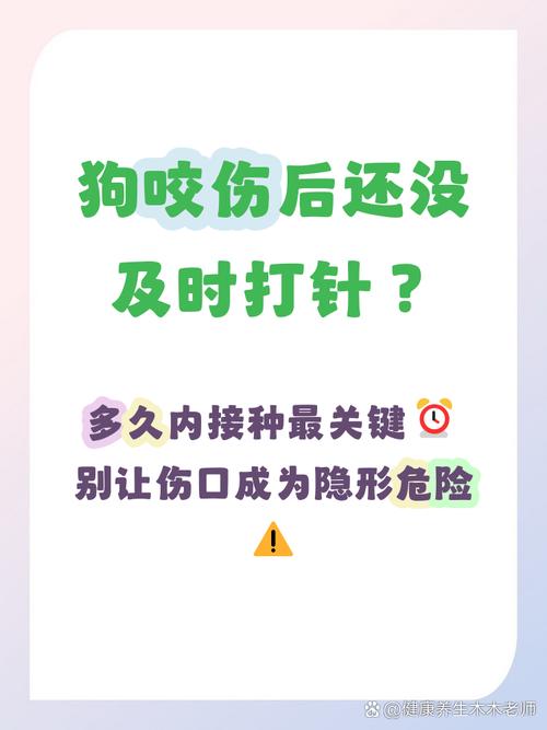 怎么让狗不乱吃东西呢?