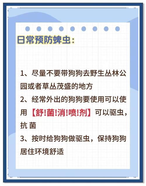 秋天狗子身上总是被咬小红点怎么办