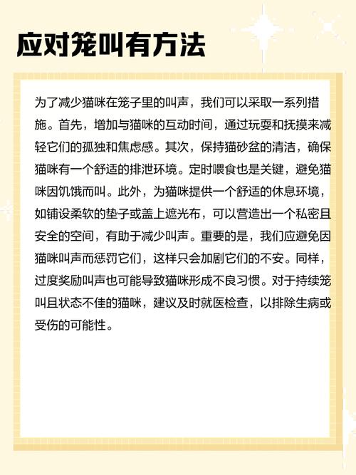 刚养的小猫咪一直叫个不停是怎么回事