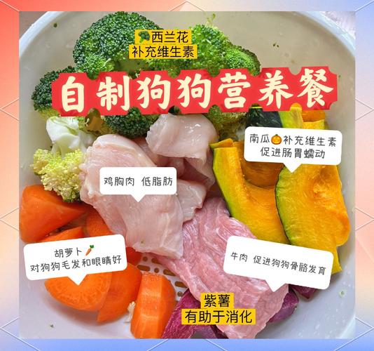 狗狗可以吃小番茄吗