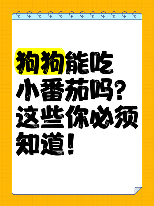 狗狗能吃&不能吃的人类食物