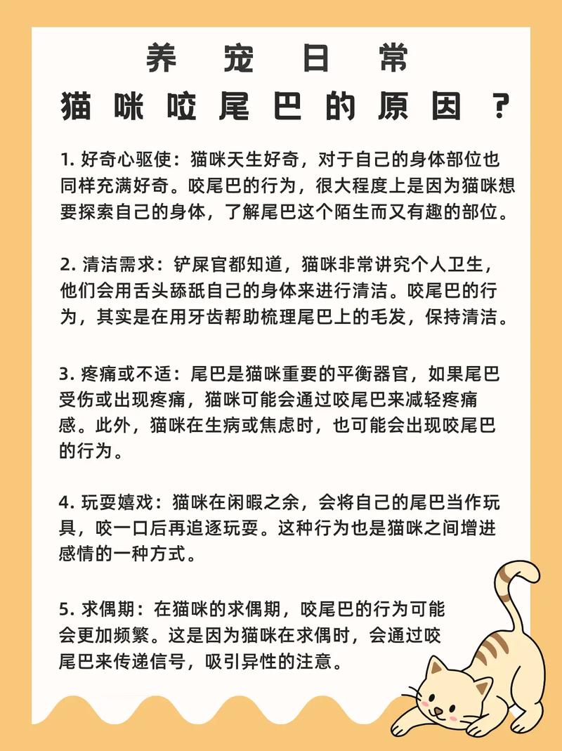 猫咪喜欢咬自己尾巴为什么