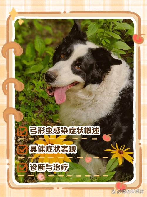 40多天的小狗会有弓形虫么?