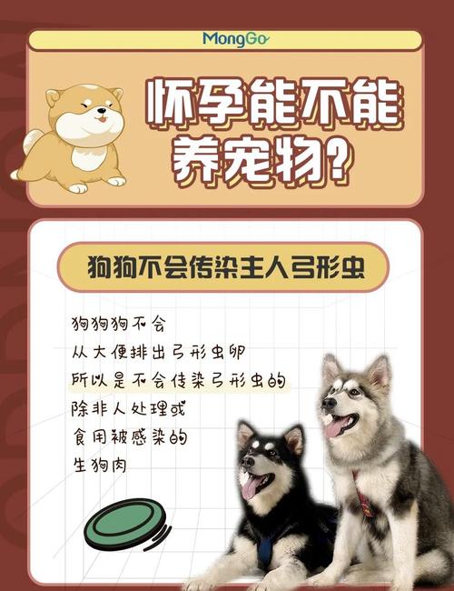 狗有弓形虫吗