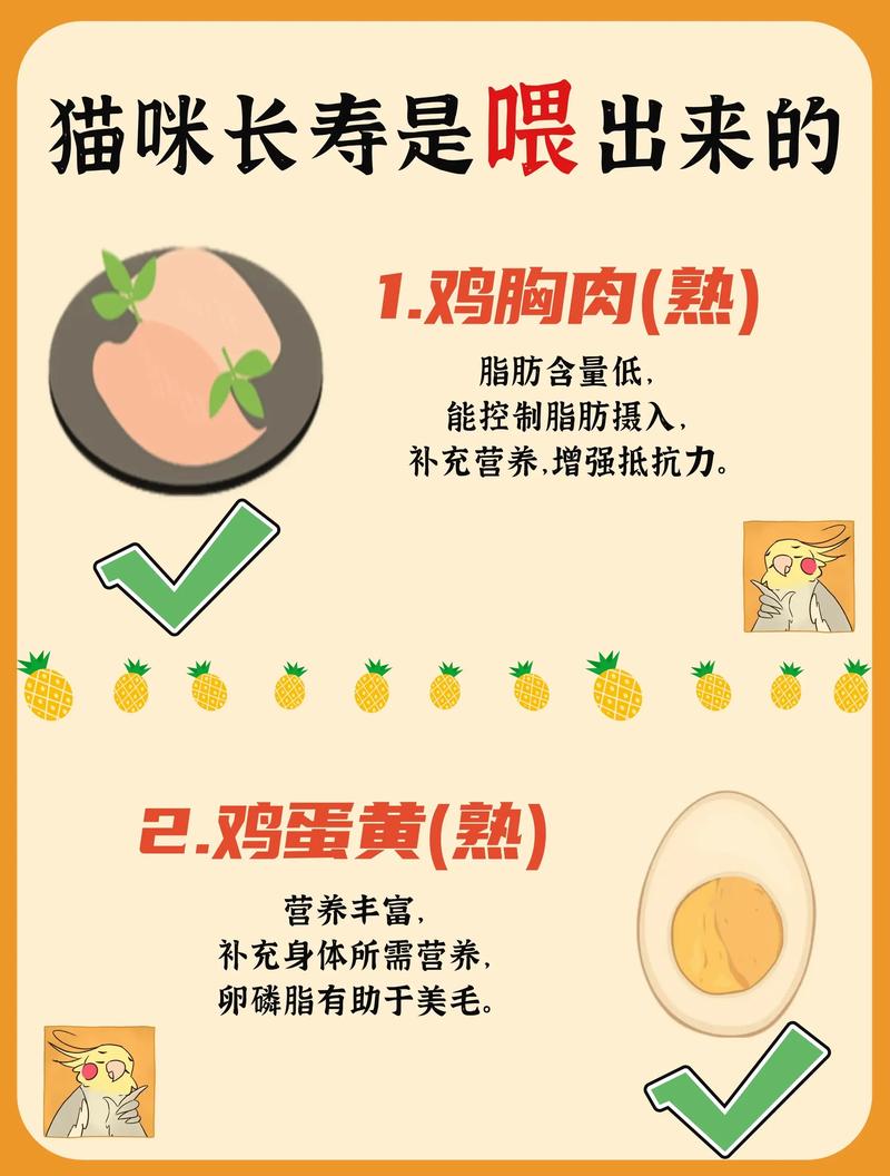 猫咪吃鸡胸肉的好处和坏处