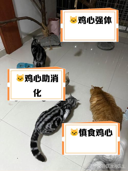 给虎斑猫吃鸡胸肉的优缺点有哪些?