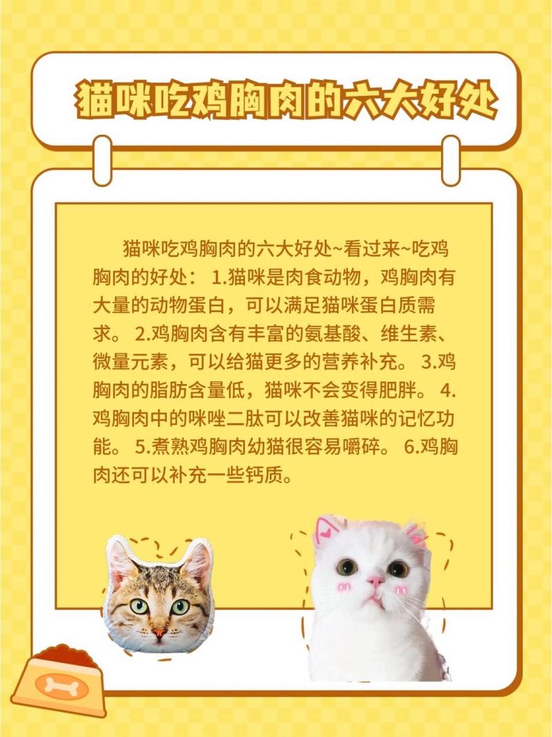 猫吃鸡胸肉的好处