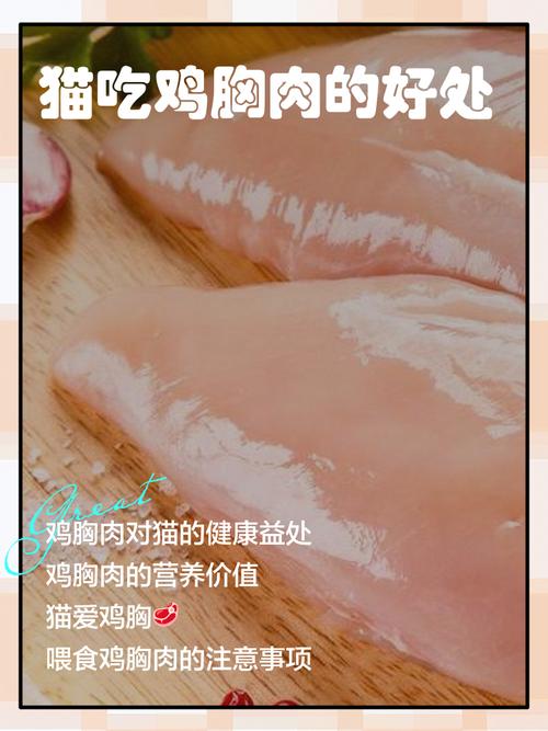 给猫吃鸡胸肉的好处和坏处有哪些?