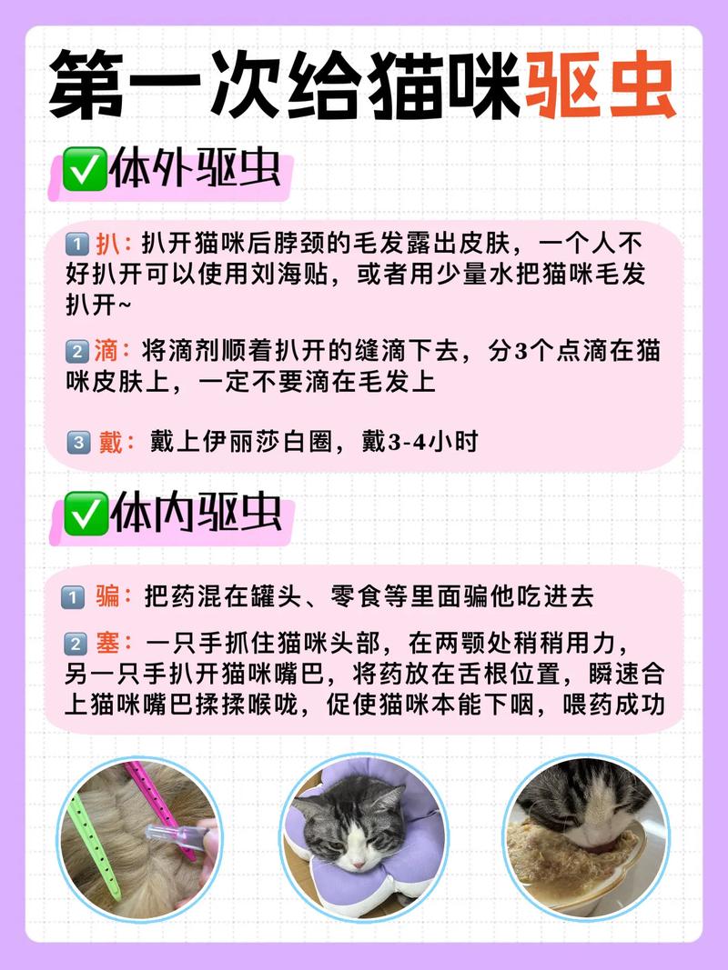 猫咪体内、体外驱虫的方法