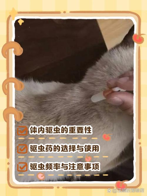 自己在家怎么给猫咪驱虫