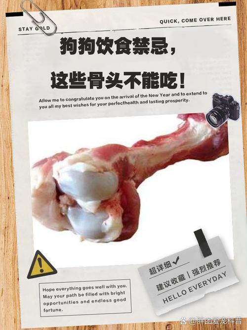 狗狗几个月可以啃骨头,狗吃骨头的注意事项
