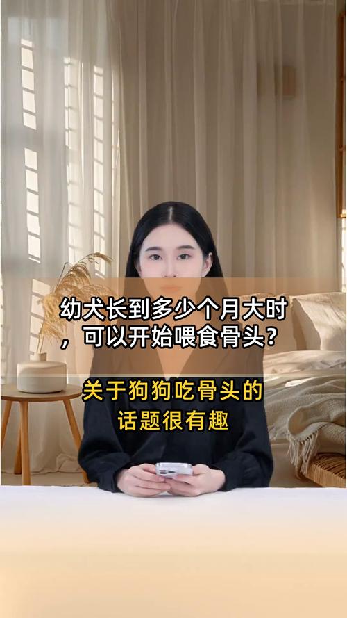 我家3个月大的小狗凯文,今天中午我吃了几个鸡腿,骨头给它吃了,会不会...