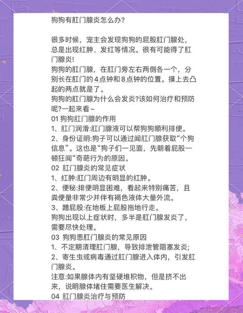 狗狗肛门腺炎的处理