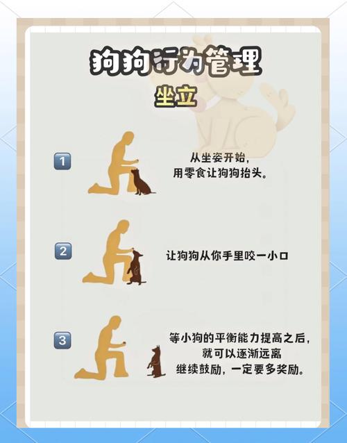如何远距离诱导和增加口令召回狗狗?