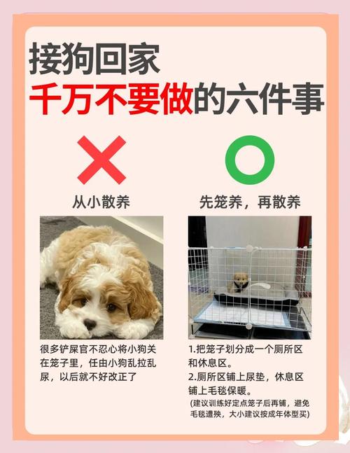 幼犬到家乱叫怎么办?