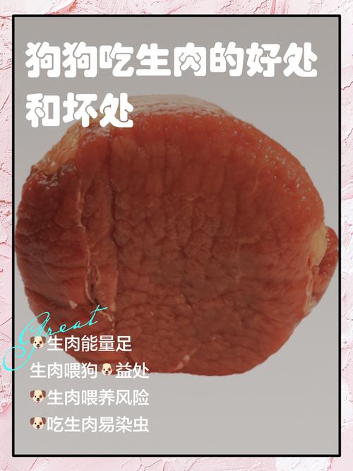 能给狗狗吃生肉吗?