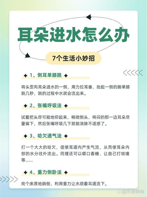 猫耳朵进水了怎么办?