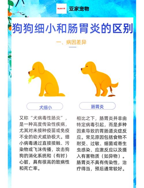 狗狗肠胃炎吃什么药