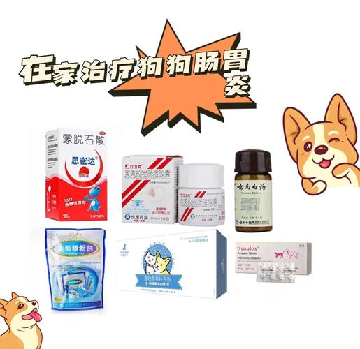 狗得了肠胃炎用什么药